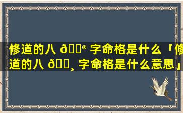 修道的八 💮 字命格是什么「修道的八 🌸 字命格是什么意思」